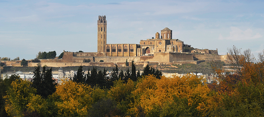 ConjuntmonumentaldesdelaNII_900x400px.jpg